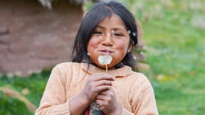 Young Native American girl blowing the fluff from a dandelion. 