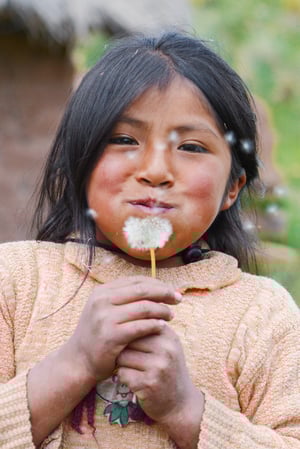Young Native American girl blowing fluff off a daneilion.