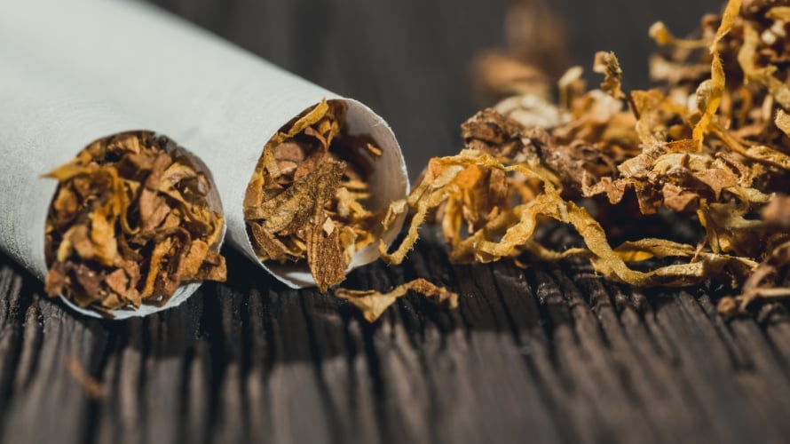 Traditional Tobacco vs. Commercial Tobacco — What are the Differences?